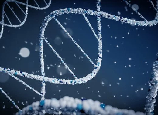 La vaccination favorise-t-elle l'apparition de variants ?