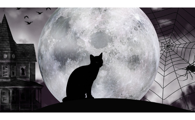 Caliban et la sorcière, ou l'Histoire au bûcher