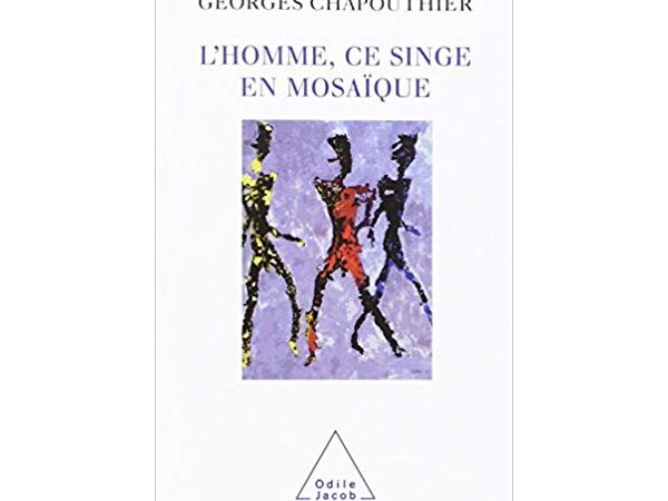 L'Homme, ce singe en mosaïque