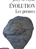 Évolution