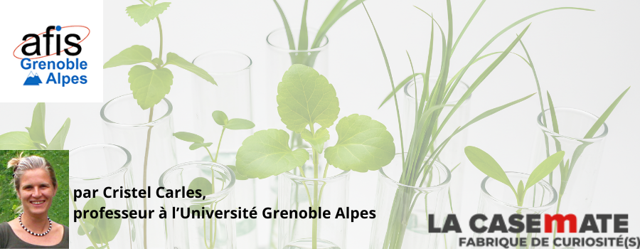 [Grenoble - jeudi 19 novembre 2026 à 18h30] Les plantes, championnes de l'adaptation