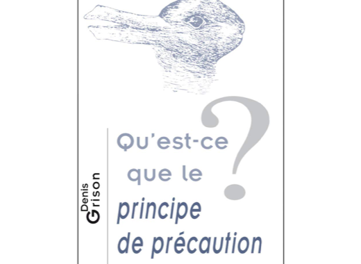 Qu'est-ce que le principe de précaution ?