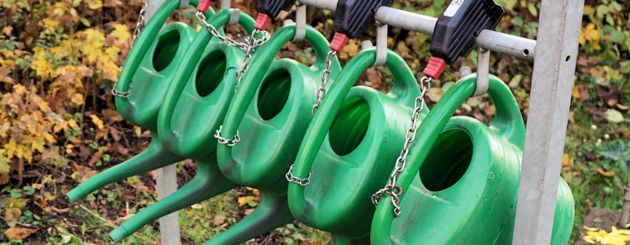 La permaculture : solution ou illusion ? 