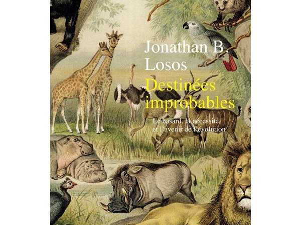 Destinées improbables Le hasard
