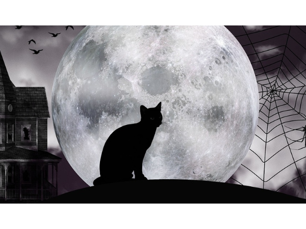 Caliban et la sorcière, ou l'Histoire au bûcher