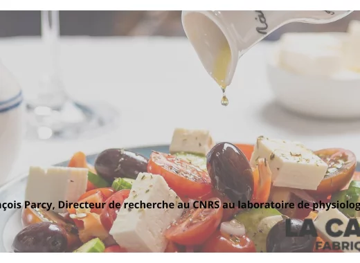 Vidéo - Conférence Quels végétaux dans nos assiettes dans le monde de demain ?