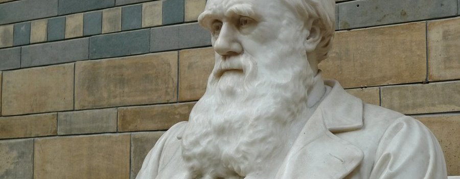 La différence entre Hahnemann et Darwin