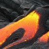 Le retour de Yellowstone dans l'actualité