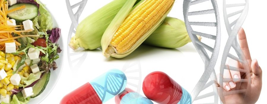 OGM, pesticides, homéopathie : science ou idéologie