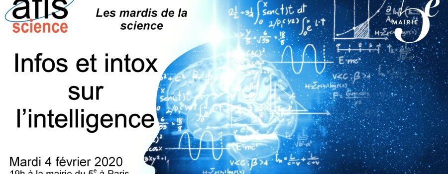 Vidéo : Infos et Intox sur l'intelligence
