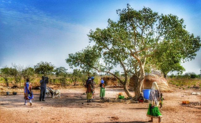 Agriculture biologique et sécurité alimentaire mondiale