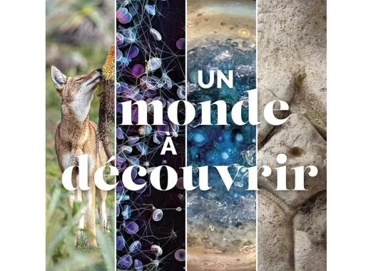 Un monde à découvrir