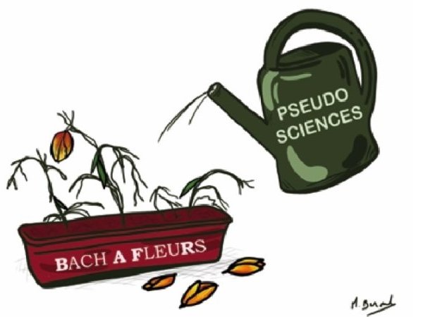 Les élixirs du D<sup>r</sup> Bach : c'est le bouquet !