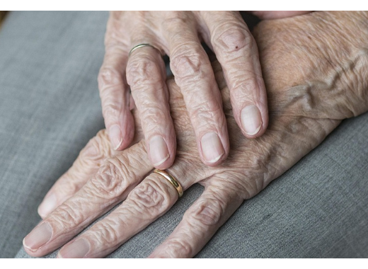 Des bactéries pour améliorer le traitement de la maladie de Parkinson