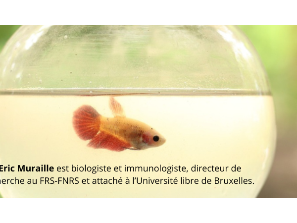 [Conférence en ligne - Mardi 20 janvier 2026 à 20h00] L'expérimentation animale en question