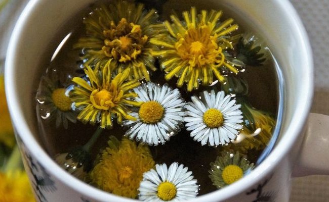 Détox : info ou intox ?