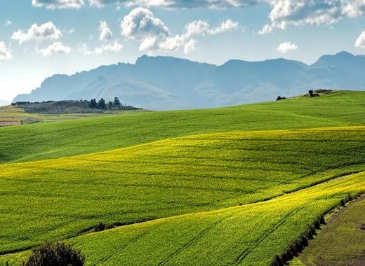 Agriculture, pesticides et biodiversité