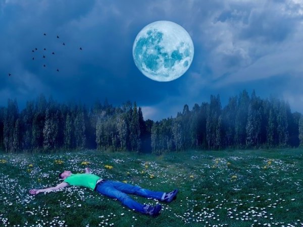 Influence de la Lune : une histoire à dormir debout