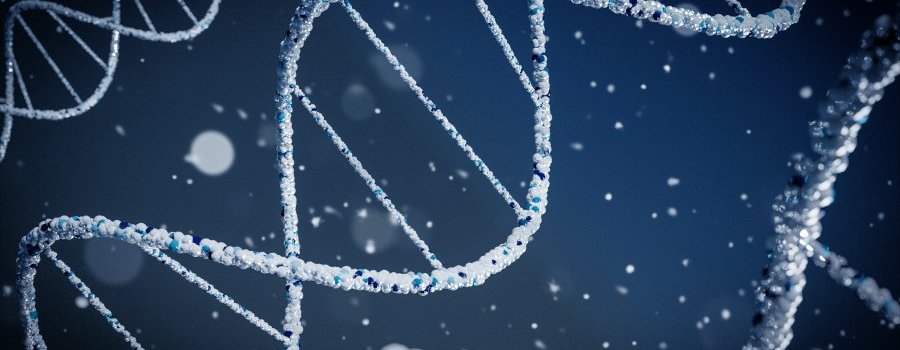 La vaccination favorise-t-elle l'apparition de variants ?