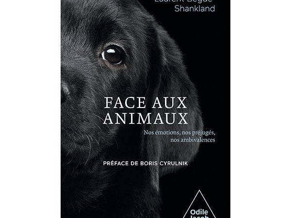 Face aux animaux
