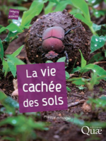 La vie cachée des sols