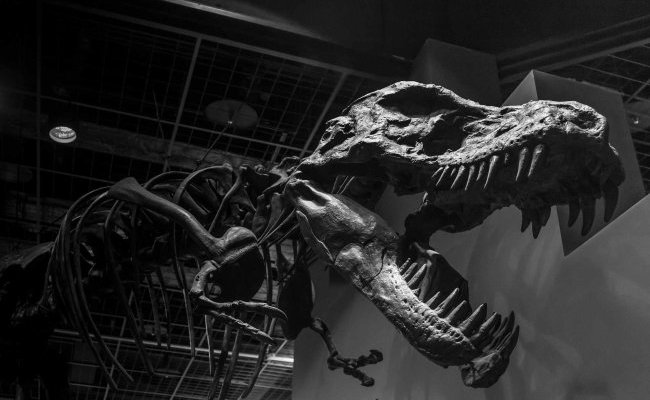La renaissance des dinosaures