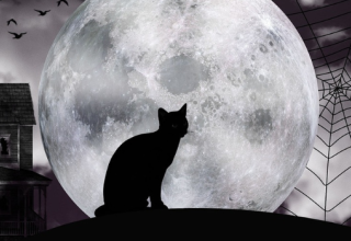 Caliban et la sorcière, ou l'Histoire au bûcher