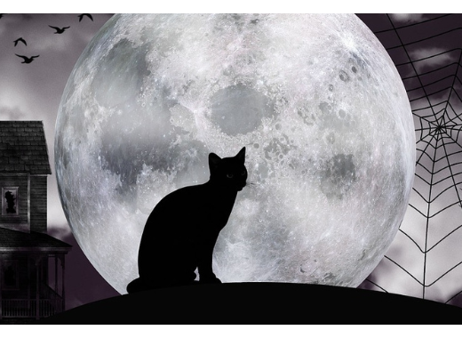 Caliban et la sorcière, ou l'Histoire au bûcher