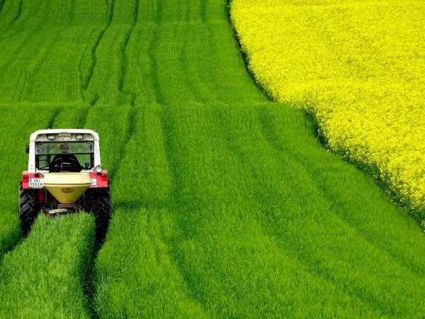 Pesticides : analyser les risques, mais aussi les bénéfices