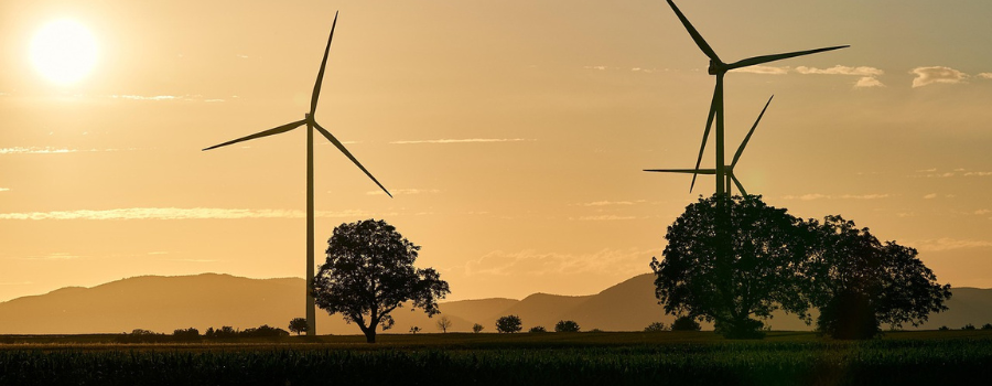 Éoliennes et élevage : la géobiologie, une pseudo-science étrangement invoquée