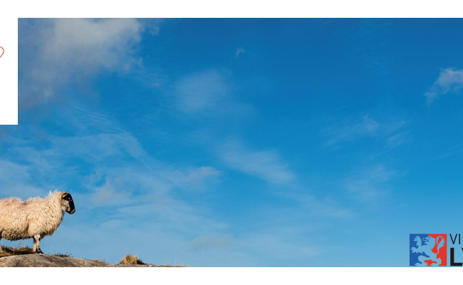 [Lyon - Vendredi 07 novembre à 19h30] Sensibilité et conscience animale