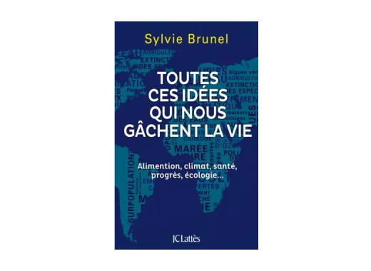Toutes ces idées qui nous gâchent la vie