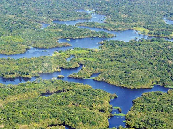 L'Amazonie, le « poumon » de la Terre ?