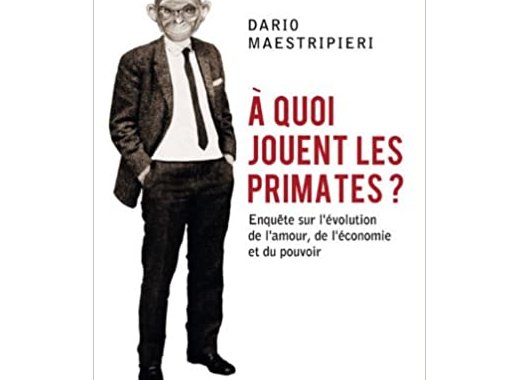 À quoi jouent les primates ? 