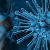 Covid-19 : les mécanismes de l'infection