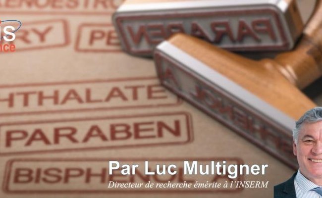 [Paris - Jeudi 22 mai 2025 à 19h00] Perturbateurs endocriniens, mythes et réalités