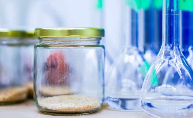 Les perturbateurs endocriniens : formidable intox ou vrai danger ?