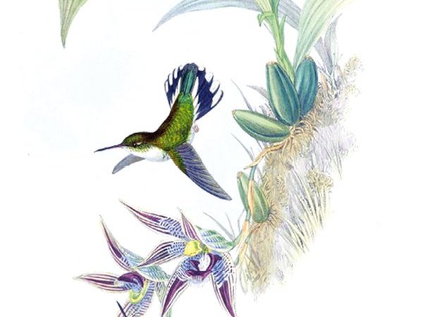 Combien d'énergie pour produire de l'énergie ?