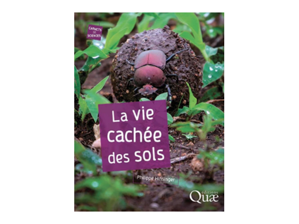 La vie cachée des sols