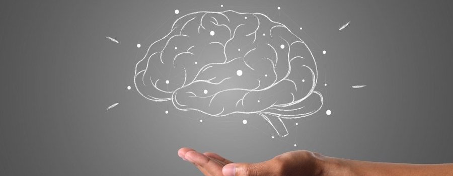 Quelques mythes à propos de notre cerveau
