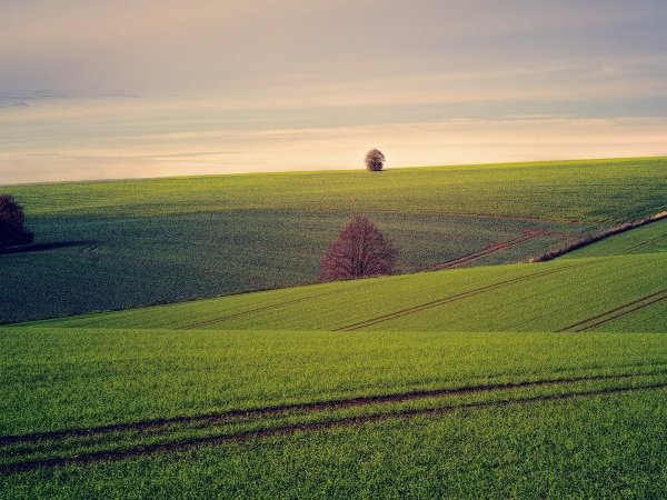 Plan Écophyto : l'idéologie au pouvoir ?