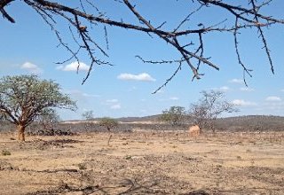 L'Afrique souffre de la crise climatique sans beaucoup y contribuer