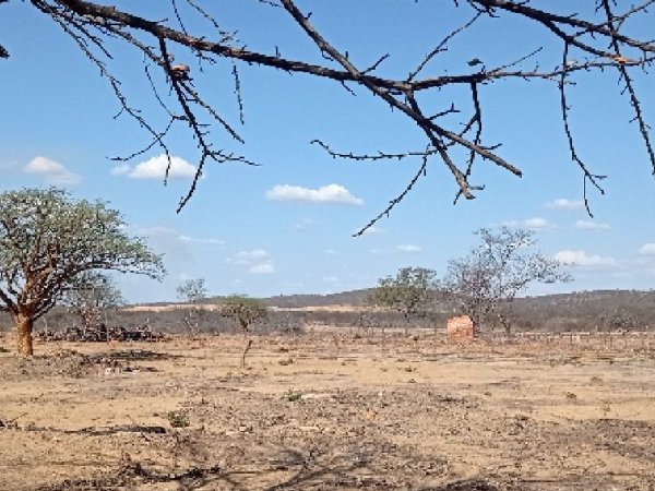 L'Afrique souffre de la crise climatique sans beaucoup y contribuer