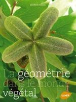 La géométrie dans le monde végétal