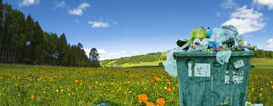 Un plastique biodégradable avec des enzymes intégrées ?