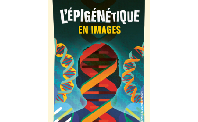 L'épigénétique en images