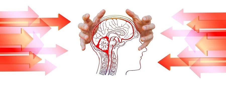 Carl Gustav Jung : psychiatre, psychanalyste et gourou